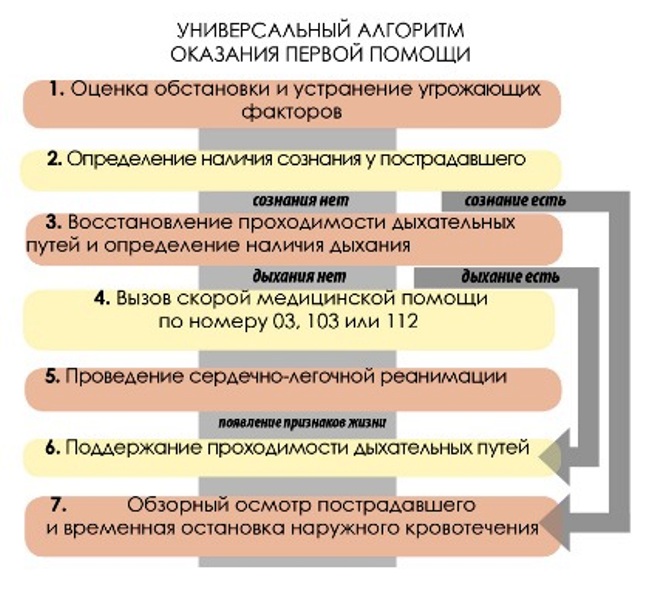 Универсальный алгоритм оказания